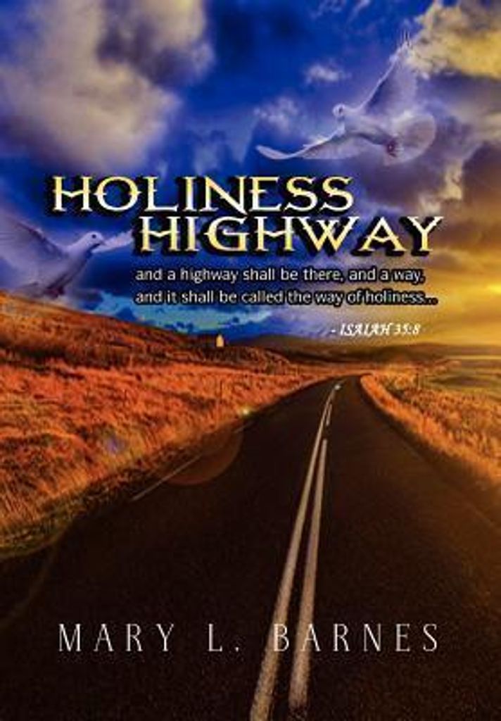 Barnes, M: Holiness Highway