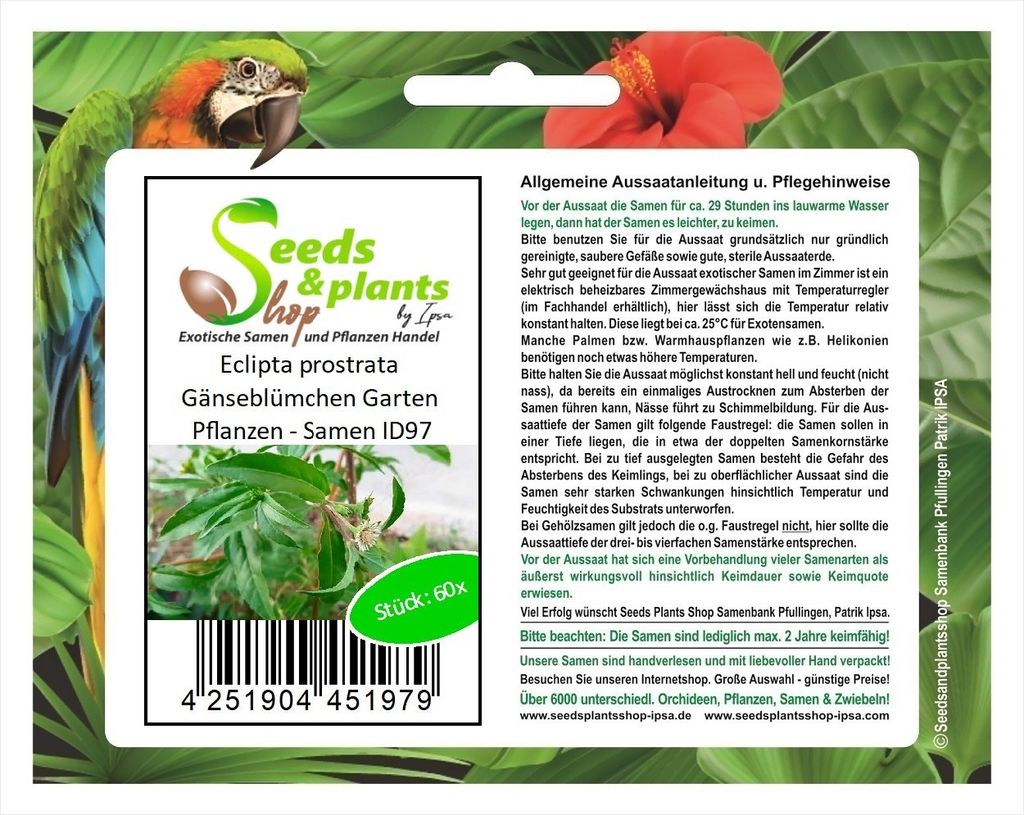 60x Eclipta prostrata Gänseblümchen Garten Pflanzen - Samen ID97