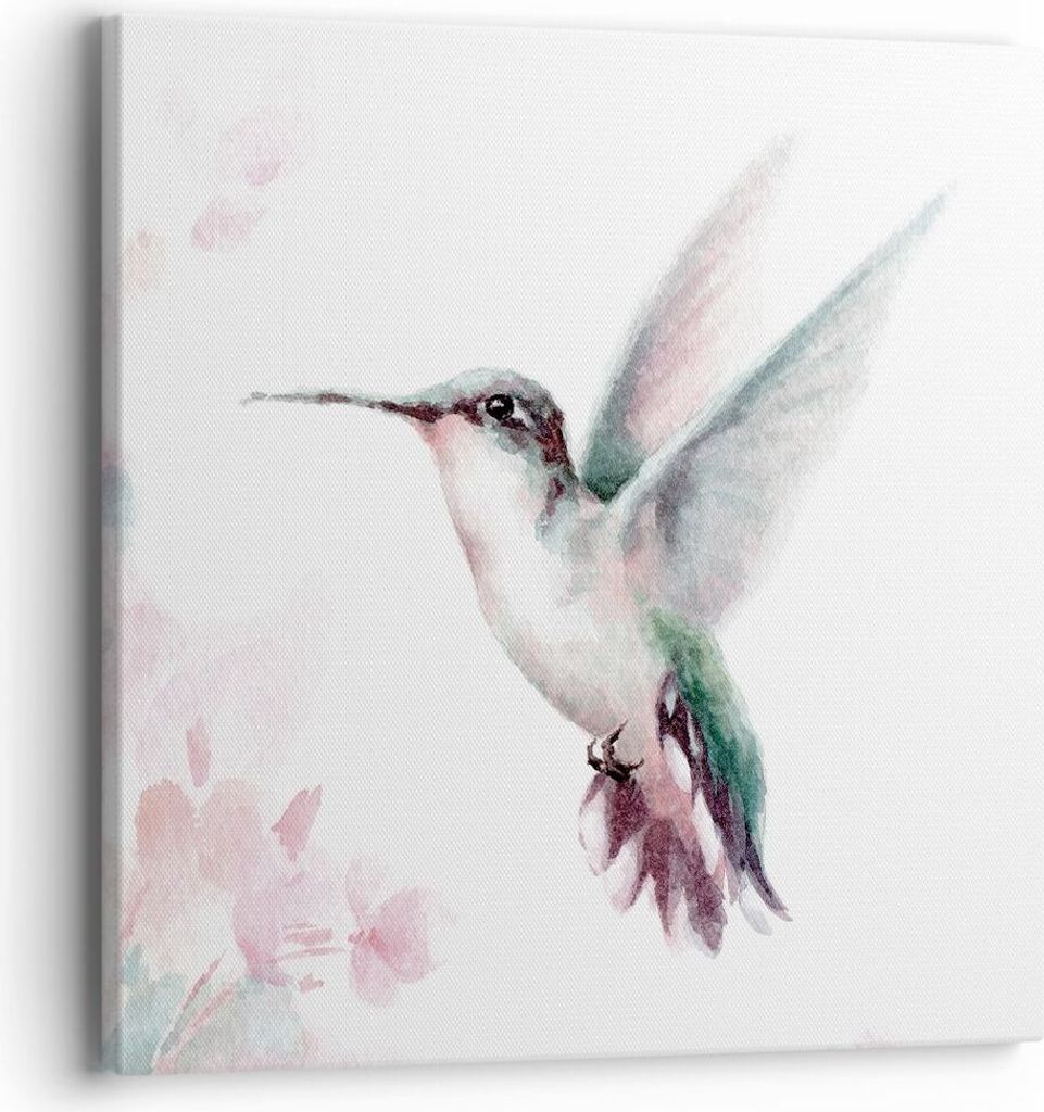Bild auf Leinwand - Leinwandbild - Einteilig - Kolibri Aquarell Licht - 40x40cm - Wand Bild - Wanddeko - Wandbilder - Leinwanddruck - Bilder - Wand...