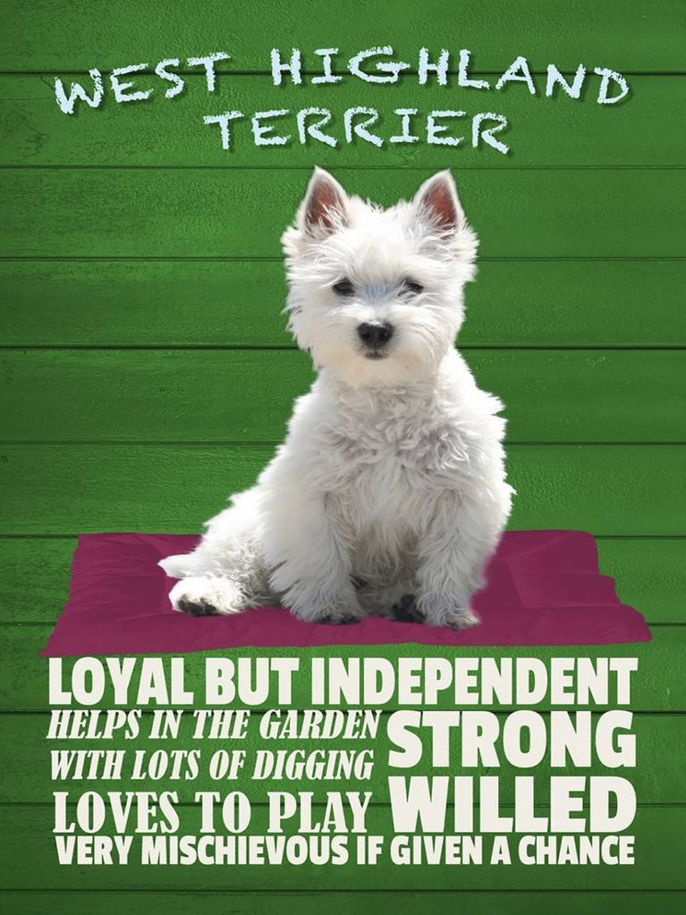 vianmo Holzschild 40x30 cm West Highland Terrier Hund loyal