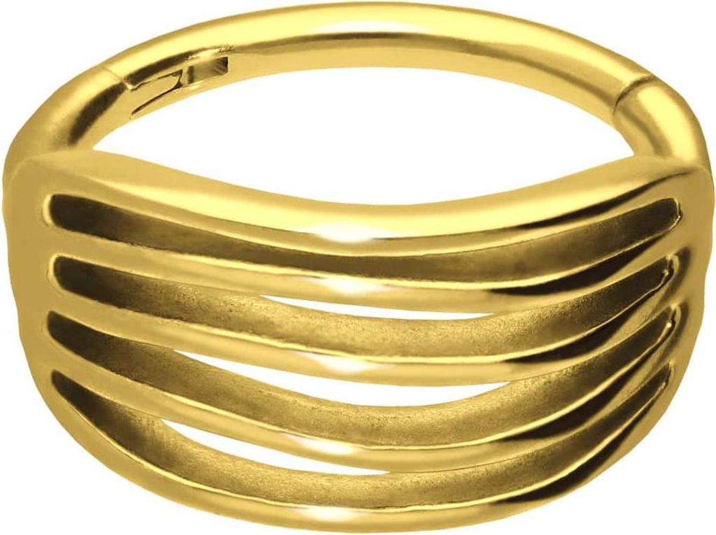 Ohrpiercing, Nasenpiercing, Septum Piercing Chirurgenstahl Segmentring Clicker DESIGN Gold Innendurchmesser: 10 mm