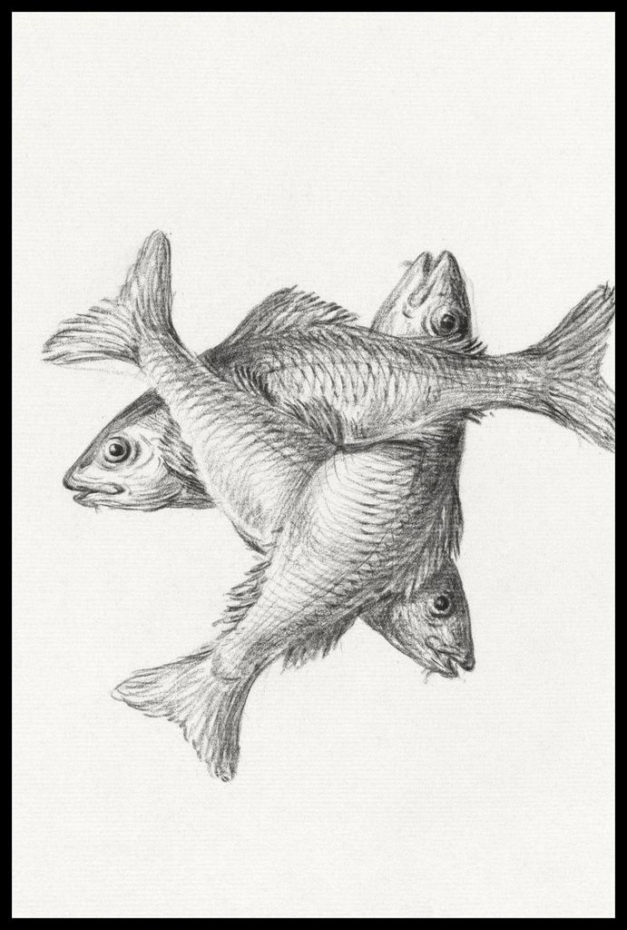 Plakat 61x91,5cm Drei Fische, Jean Bernard Vintage fürs Wohnzimmer