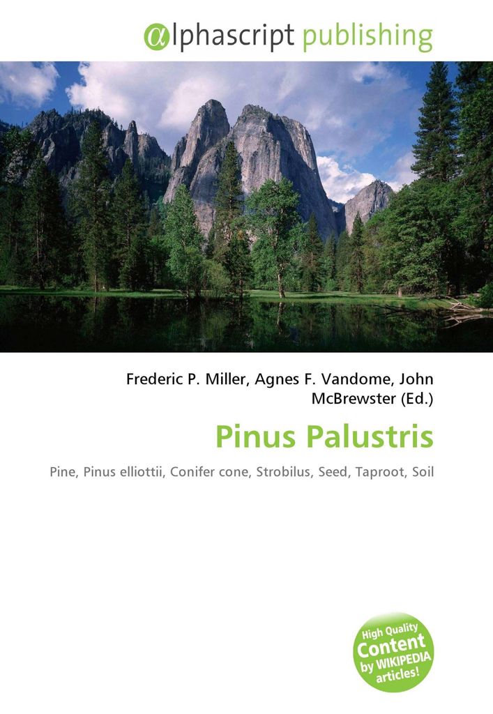 Pinus Palustris