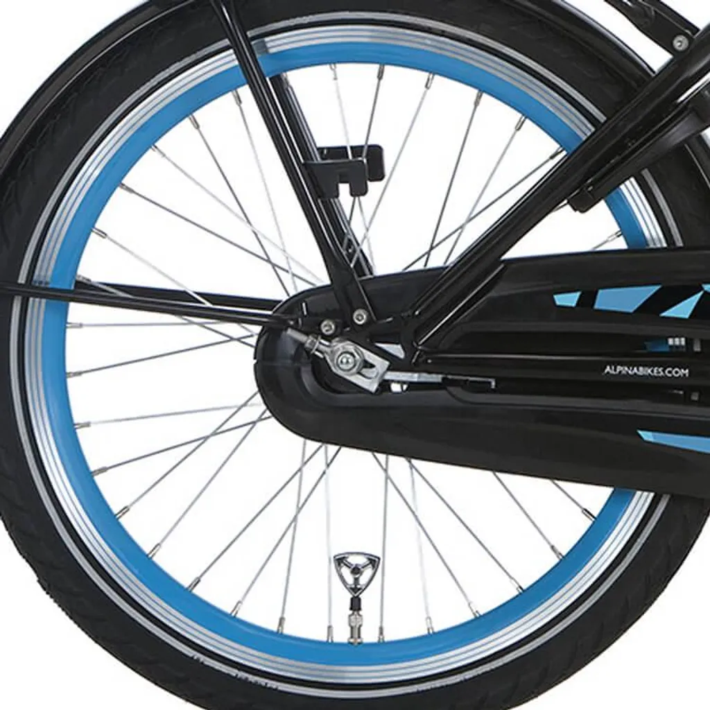 Roue Arrière 20 Pouces pour Vélo Alpina en Zinc Vert Mer Modèle SPK