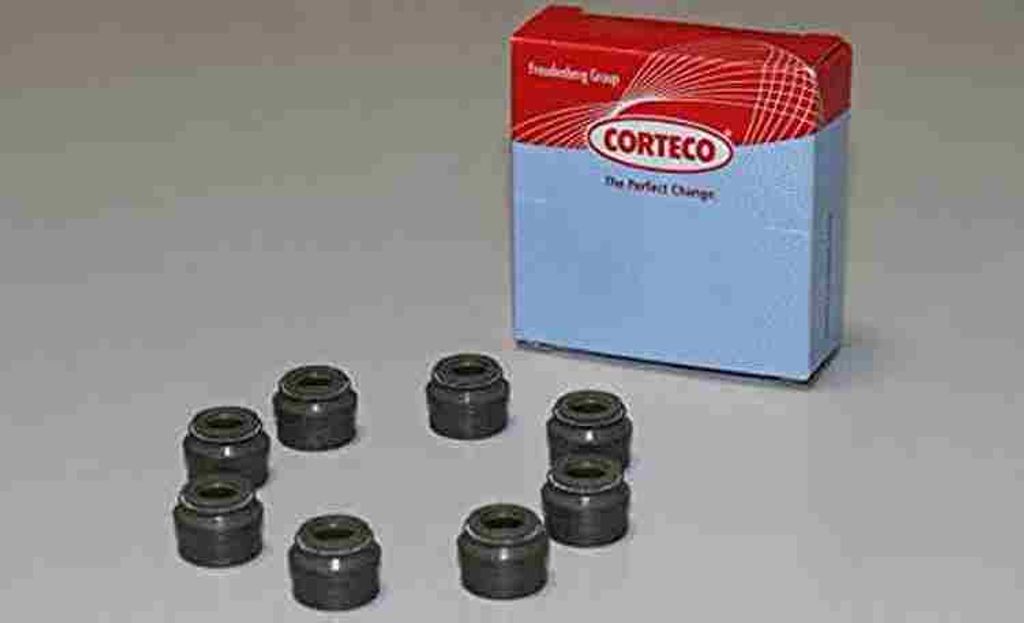 CORTECO Dichtungssatz, Ventilschaft Artikel: 19020622
