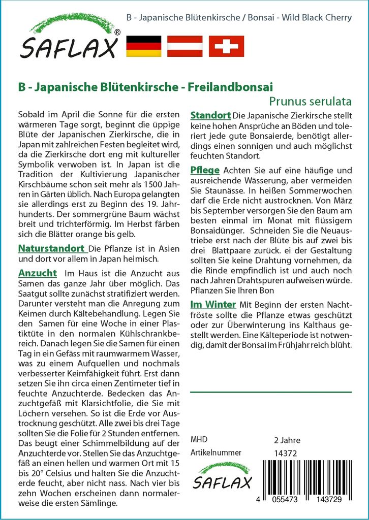 SAFLAX - Japonský čerešňový kvet - Prunus serulata - 30 Obrázok produktu 5