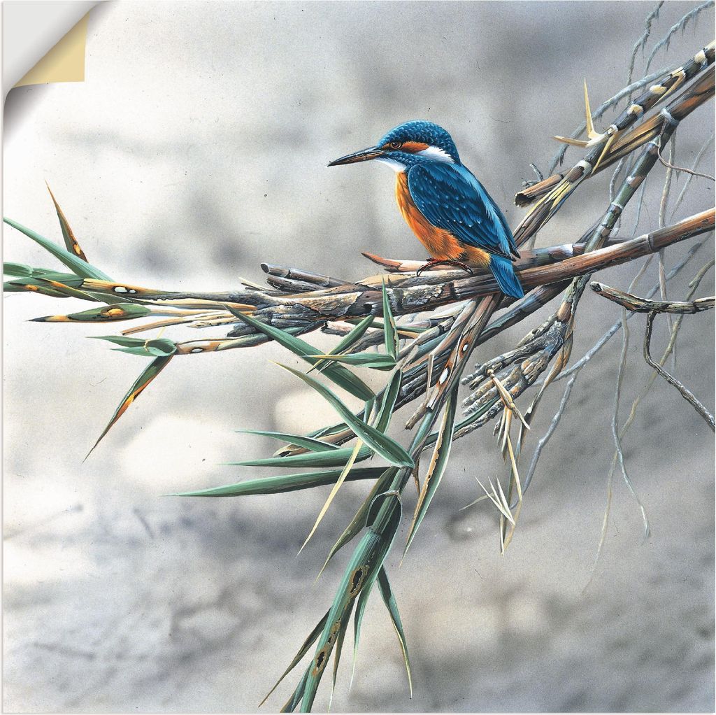 ARTland Wandbild, selbstklebend Eisvogel I Größe: 70x70 cm