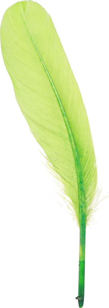 Deko Federn Gänsefedern Hellgrün Basteln 20g - 2 Stück