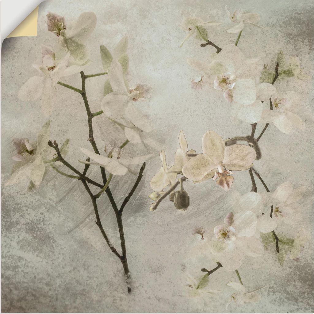ARTland Wandbild, selbstklebend Orchideen Größe: 50x50 cm