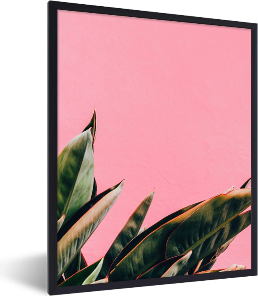 MuchoWow Gerahmtes Poster Pflanzen - Frauenzunge - Rosa - Tropisch 60x80 cm - Poster mit Schwarzem Bilderrahmen Wandposter Rahmen Foto Bilder - P...