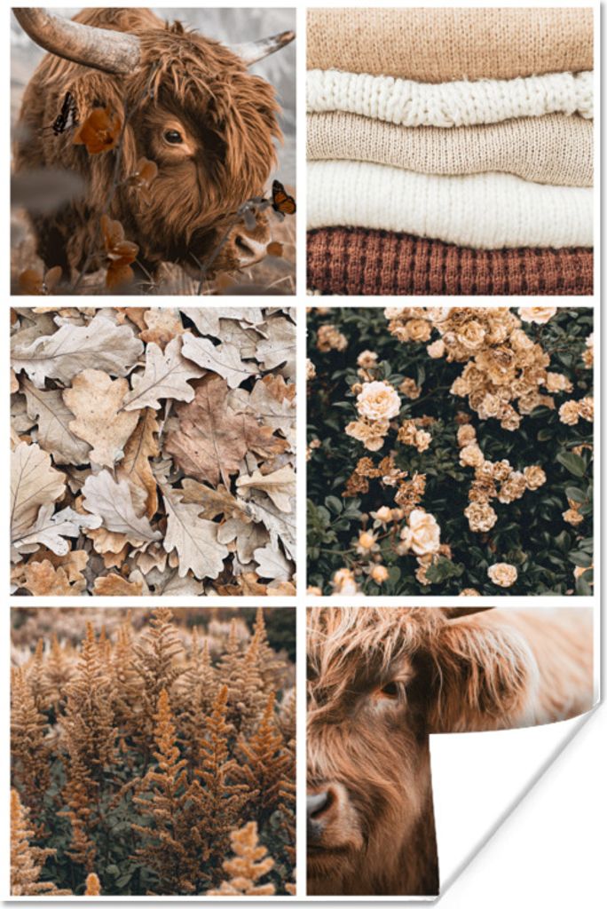 MuchoWow Poster Schottischer Highlander - Herbst - Collage 60x90 cm - Wanddekoration