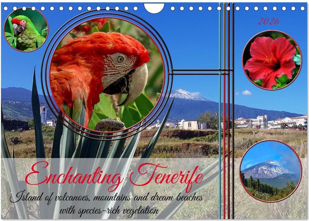 Enchanting Tenerife (Wall Calendar 2026 DIN A4 landscape), CALVENDO 12 Month Wall Calendar