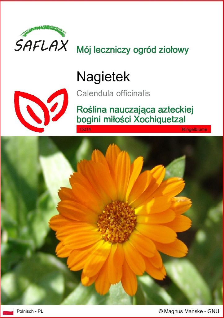 SAFLAX - Nagietek - 50 Nasiona - Calendula officinalis Zdjęcie produktu 