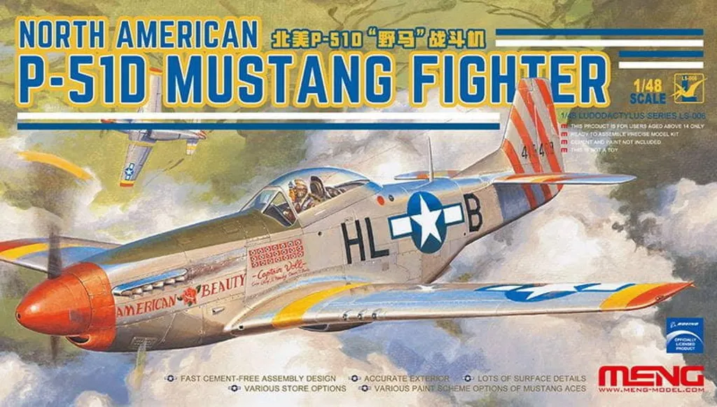 Maquette Avion P-51D Mustang 1/48 idéale pour Collection et Vitrine