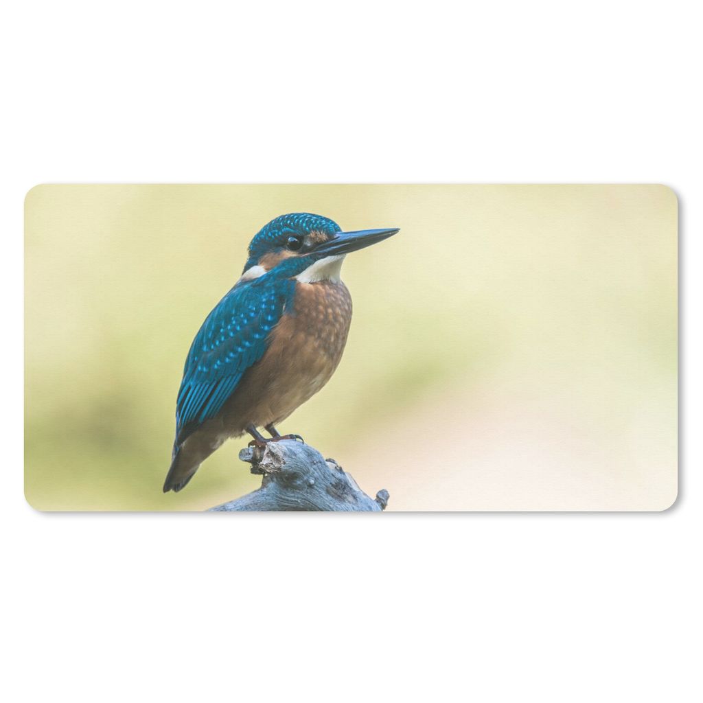 MuchoWow Mauspad Mousepad Eisvogel - Zweig - Vogel 60x30 cm - Mousepads - Maus Mat - Pad - Mausunterlage - Nachhaltig