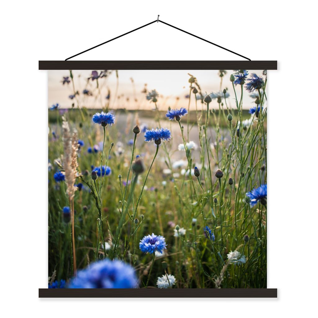 MuchoWow Textilposter Blumen - Sommer - Kornblume - Blau - Sonne - Wolken 90x90 cm mit schwarzem Rahmen - Magnetisches