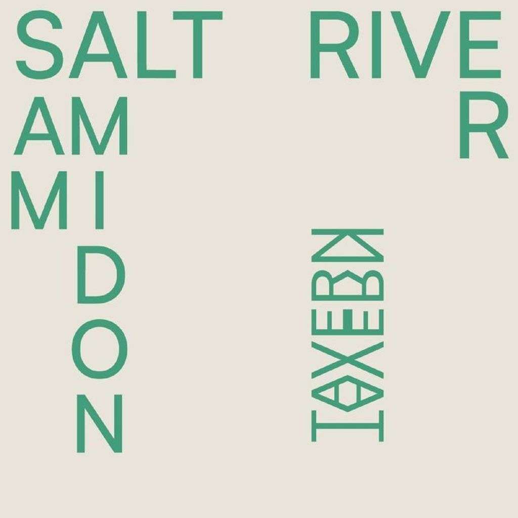 Sam Amidon: Sam Amidon: Salt River - Bertus Musikvertrieb - (LP / S)