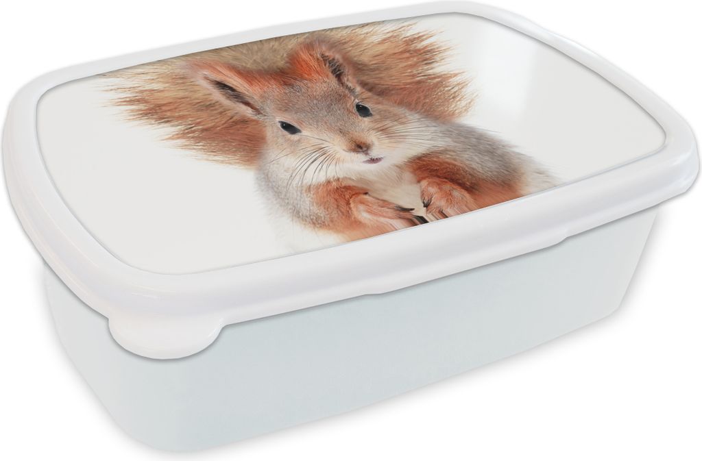 KitchenYeah Lunchbox Brotzeit Brotdose 17x11 cm Eichhörnchen - Tiere - Natur - Orange - Weiß Kinder Brotzeitdose - Lunch Box - Kinder - Sandwic...