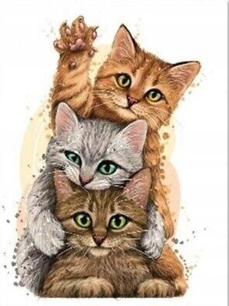40x30 cm Diamanten Malerei Zum Selbermachen Diamond Painting DIY Drei Katzen