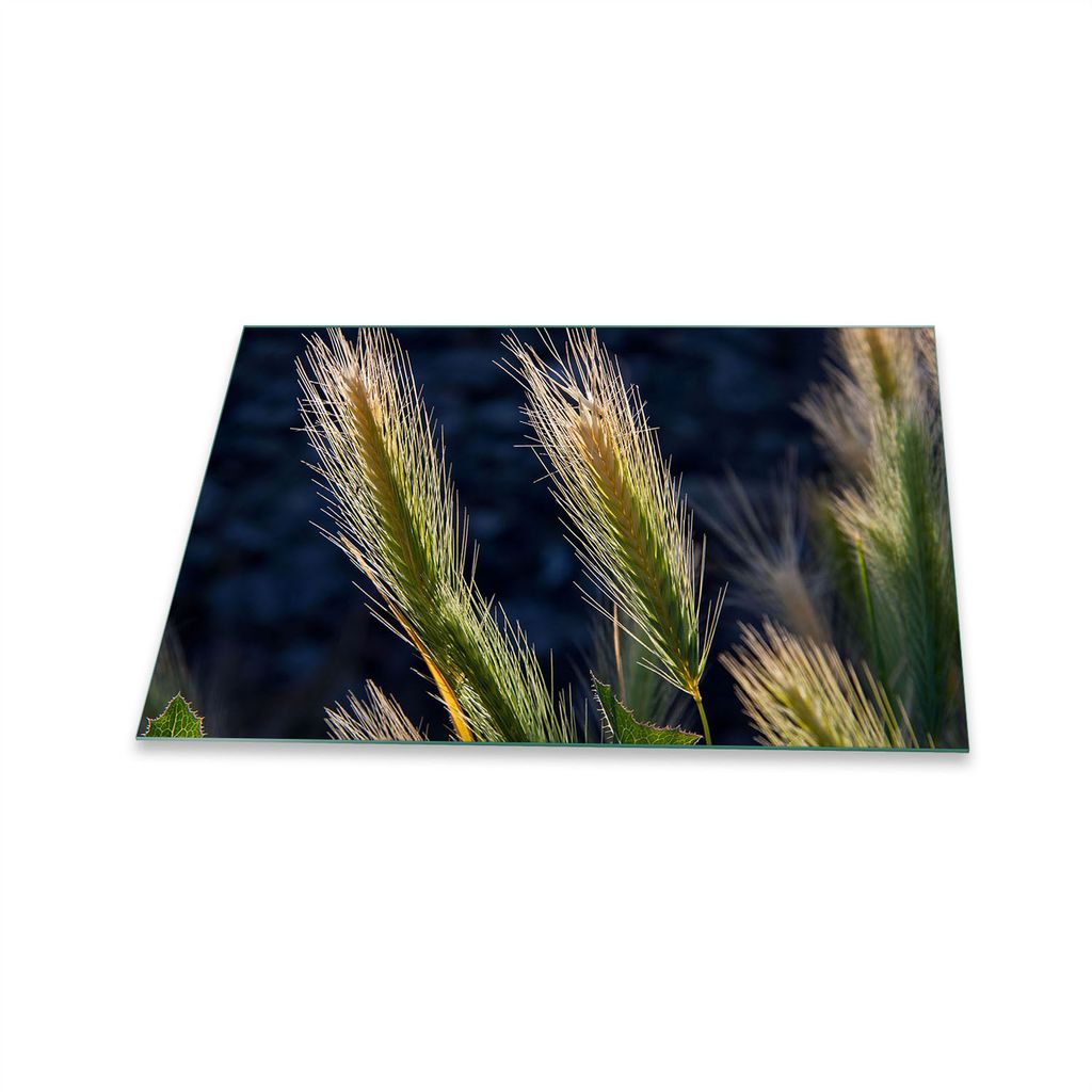 Herdabdeckplatte Ceran 1 Teilig 80x52 Natur Grün Abdeckung Glas Spritzschutz