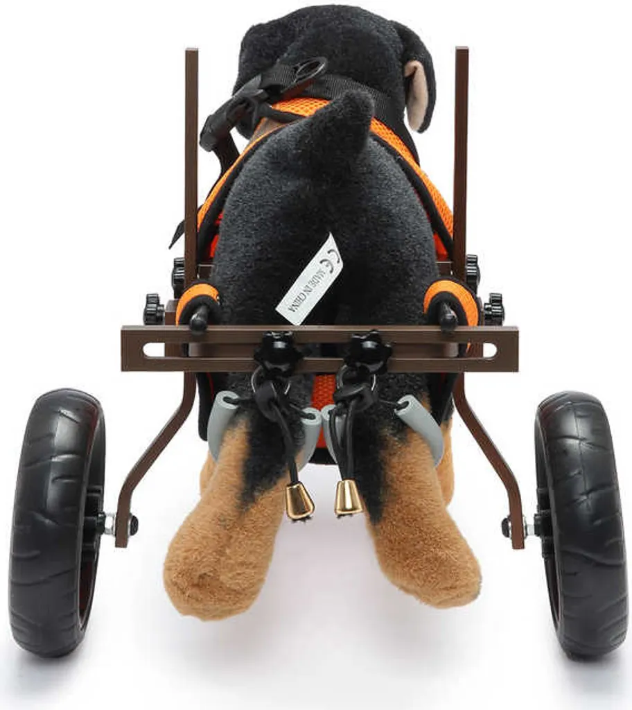 Solution Mobilité Chien Handicapé : Déambulateur Réglable à deux Roues - 4