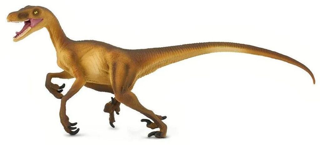 Safari Ltd Velociraptor Dino Figur Braun From 3 Years Kinder Braun From 3 Years