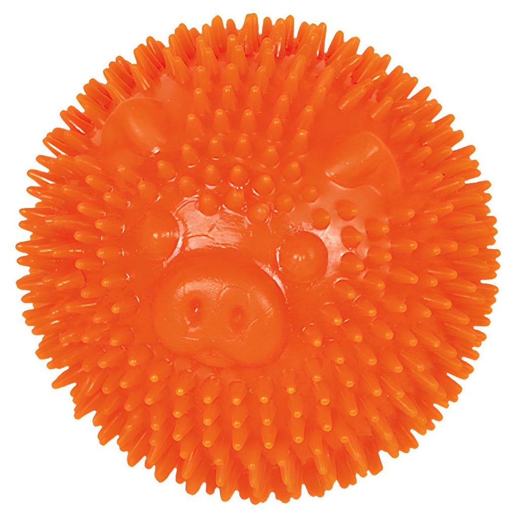 Nobby TPR Noppen Ball Pig orange, Durchmesser: 6,5 cm Produktbild 