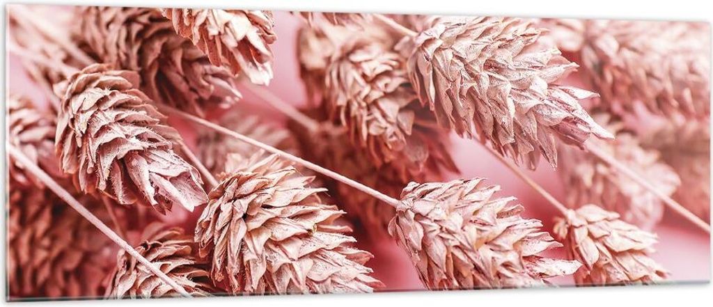 Bilder auf glas - Einteilig - Klinge Gras getrocknet - 140x50cm - Glasbilder - Wandbilder - Bilder - zum Aufhängen bereit - Wanddekoration aus Gla...