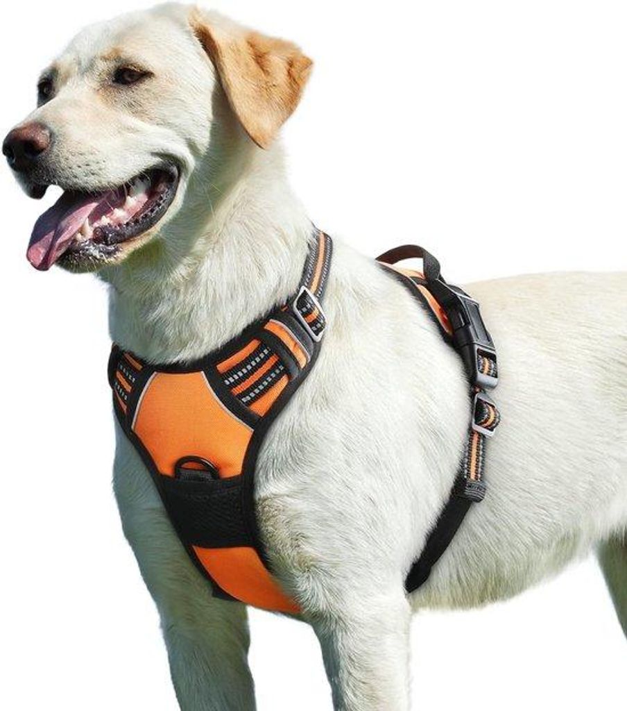 Gepolstes Hundehalsband für große und mittelgroße Hunde, Anti-Trek, verstellbar, reflektierend, orange