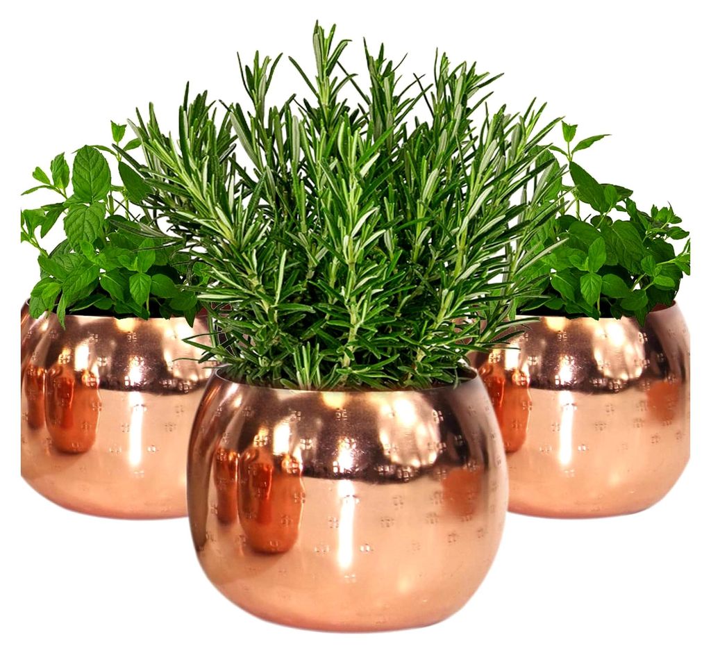 Gourmet KRÄUTERTOPF 3- TEILIG ohne Bewässerungssystem Kräutergarten für die Küche | 10 x 11 x 10 cm für frische Küchenkräuter in Gold
