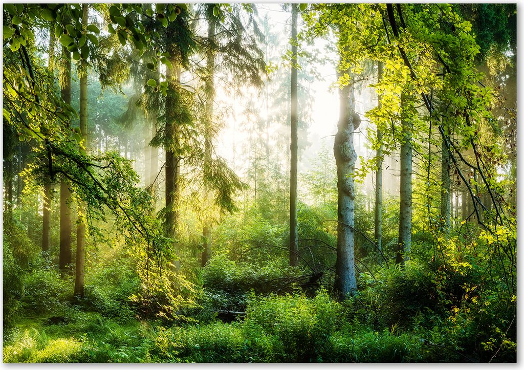 Tulup® Leinwandbild - 100x70 cm - Wandkunst - Drucke auf Produktbild 