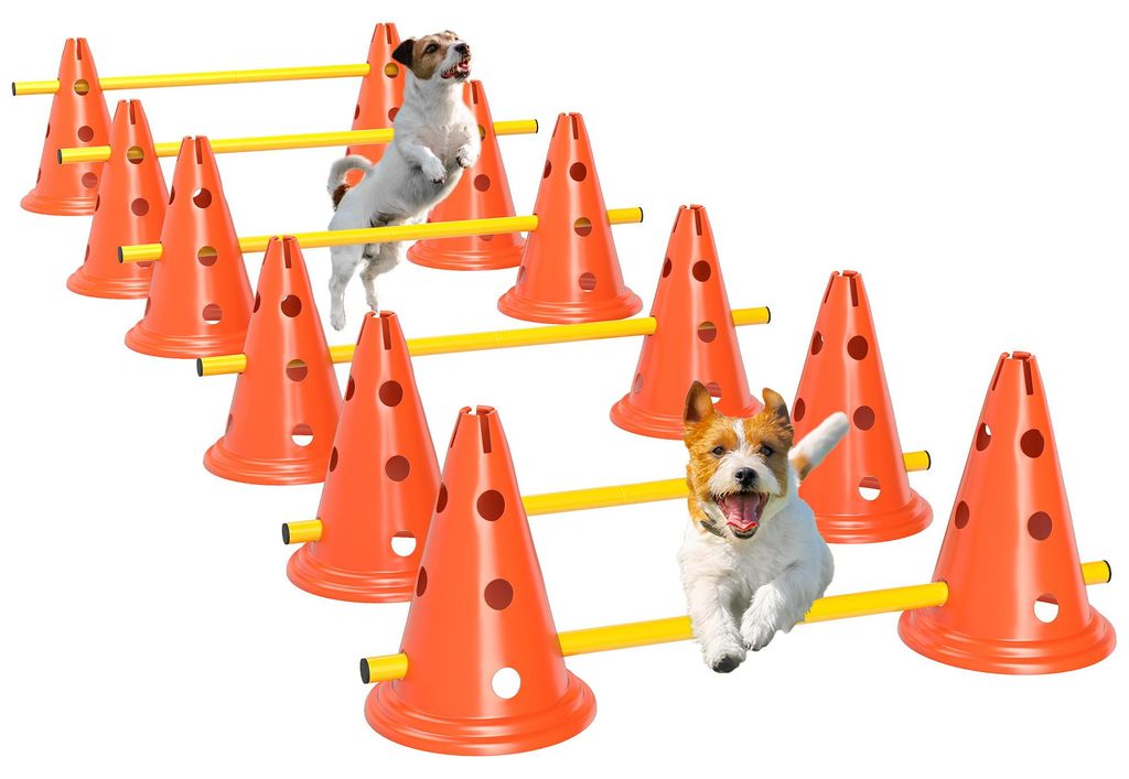 Set PawHut per agility: attrezzatura da agility in 6 pezzi Immagine del prodotto 