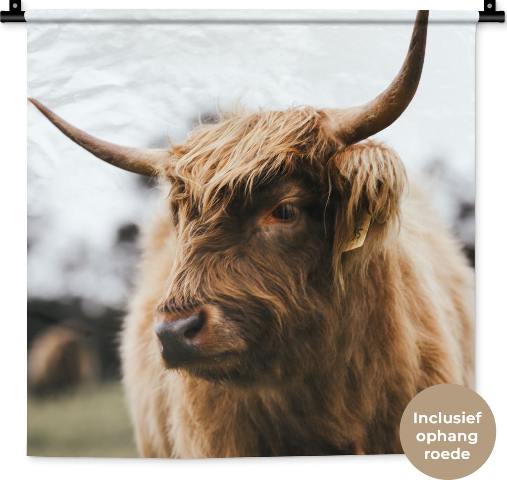 MuchoWow Wandteppich Wandbehang Schottisches Hochlandrind - Tiere - Hörner 60x60 cm Tapisserie Dekoration Wandtuch - Dekorationen - Wand Decke
