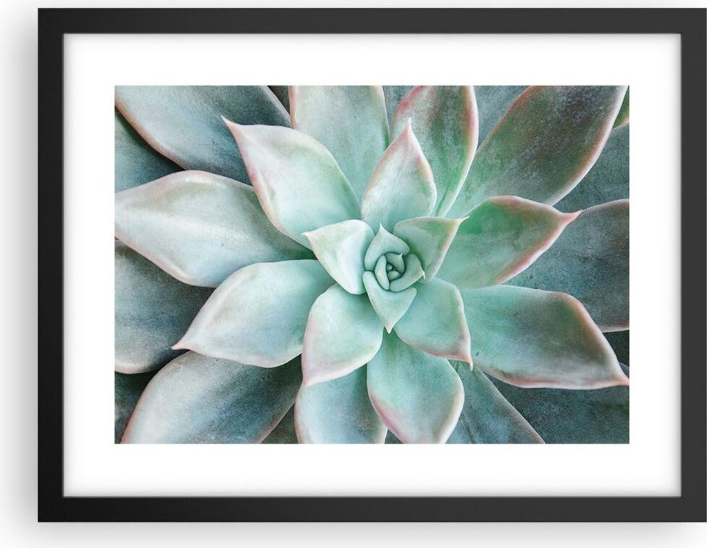 Gerahmtes Poster - Schwarzer Rahmen - Blau Blätter Agave - 40x30 cm - Wand Bild - Wanddeko - Wandbilder - Kunstposter - Wandposter - Bilderrahmen ...