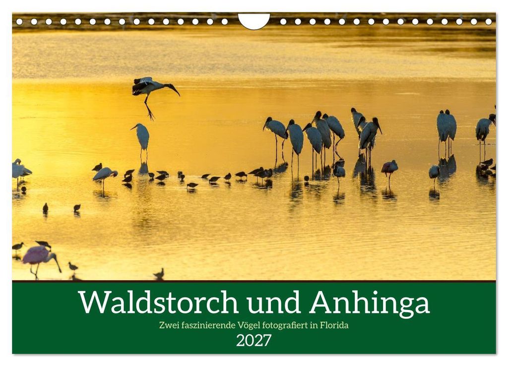 Waldstorch und Anhinga (Wandkalender 2027 DIN A4 quer), CALVENDO Monatskalender