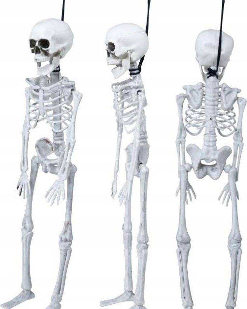 Dekoration Weiß Menschliches Skelett Knochen Halloween Produktbild 