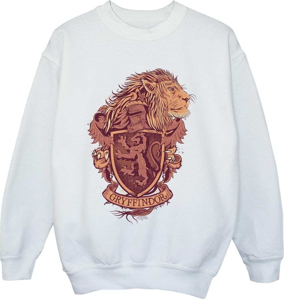 Harry Potter - "Gryffindor" Sweatshirt für Jungen BI20489 (116) (Weiß)
