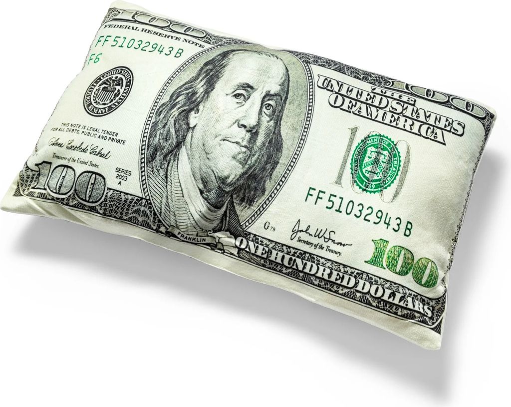 Cuscino decorativo a forma di banconota - Cento dollari - Immagine del prodotto 
