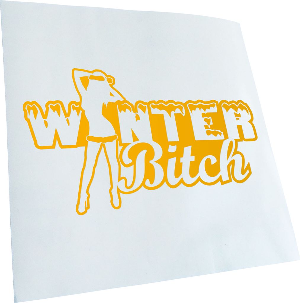 Kiwistar - Autoaufkleber - -Winter Bitch Design 2 Heckscheibenaufkleber - Aufkleber für Auto Kfz Fahrrad, LKW, Truck Mofa