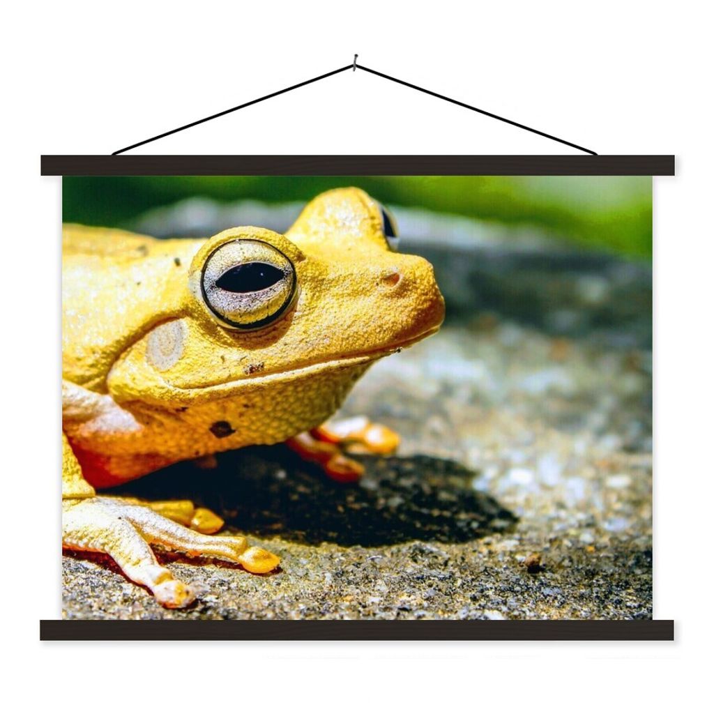 MuchoWow Textilposter Gelber Frosch auf dem Boden sitzend 60x45 cm mit schwarzem Rahmen - Poster Schlafzimmer
