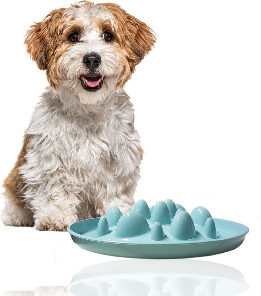 Rohrschneider Antischlingnapf Hunde | Antischlingnapf Katze | Futternapf Katze | Futternapf Hund | Fressnapf Hund | Fressnapf Katze, Farbe:blau