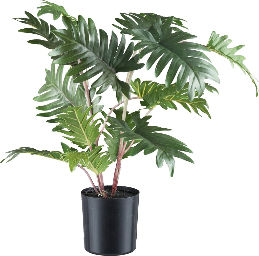 Monstera Kunstpflanze 50 cm grün im 10x10 cm Kunststofftopf mit Erde für Ihr Zuhause