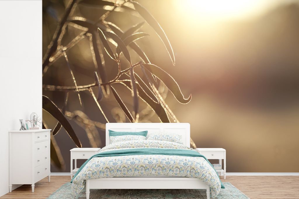 MuchoWow Fototapete für Wohnzimmer oder Schlafzimmer Wandtapete Vinyl Motivtapete Eukalyptusblätter in der Morgendämmerung - 390x260 cm - Papi...