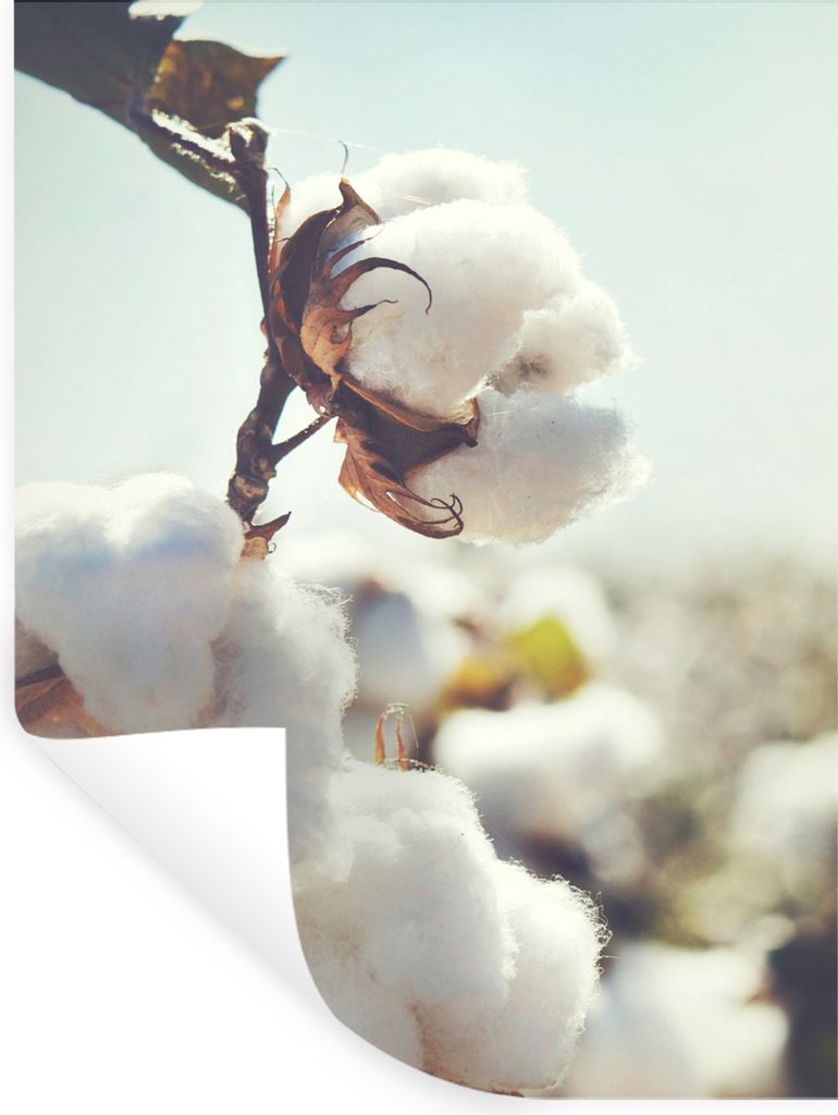 MuchoWow Wandtattoo Wandsticker Wandaufkleber Pflanzen - Blume - Zweig - Natur 60x80 cm Selbstklebend und Repositionierbar - Repositionierbar - W...