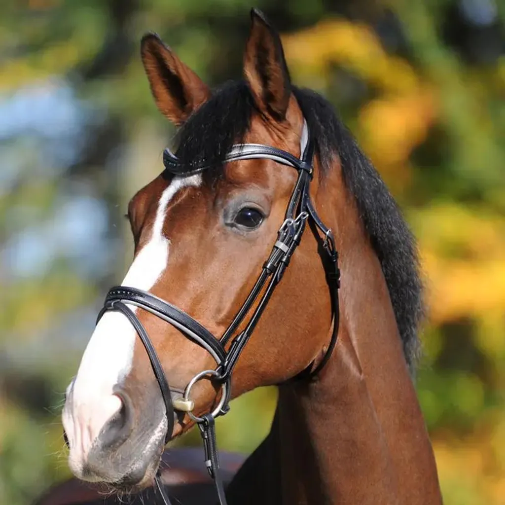 Cavalcata Snaffle Ella KavalSH4