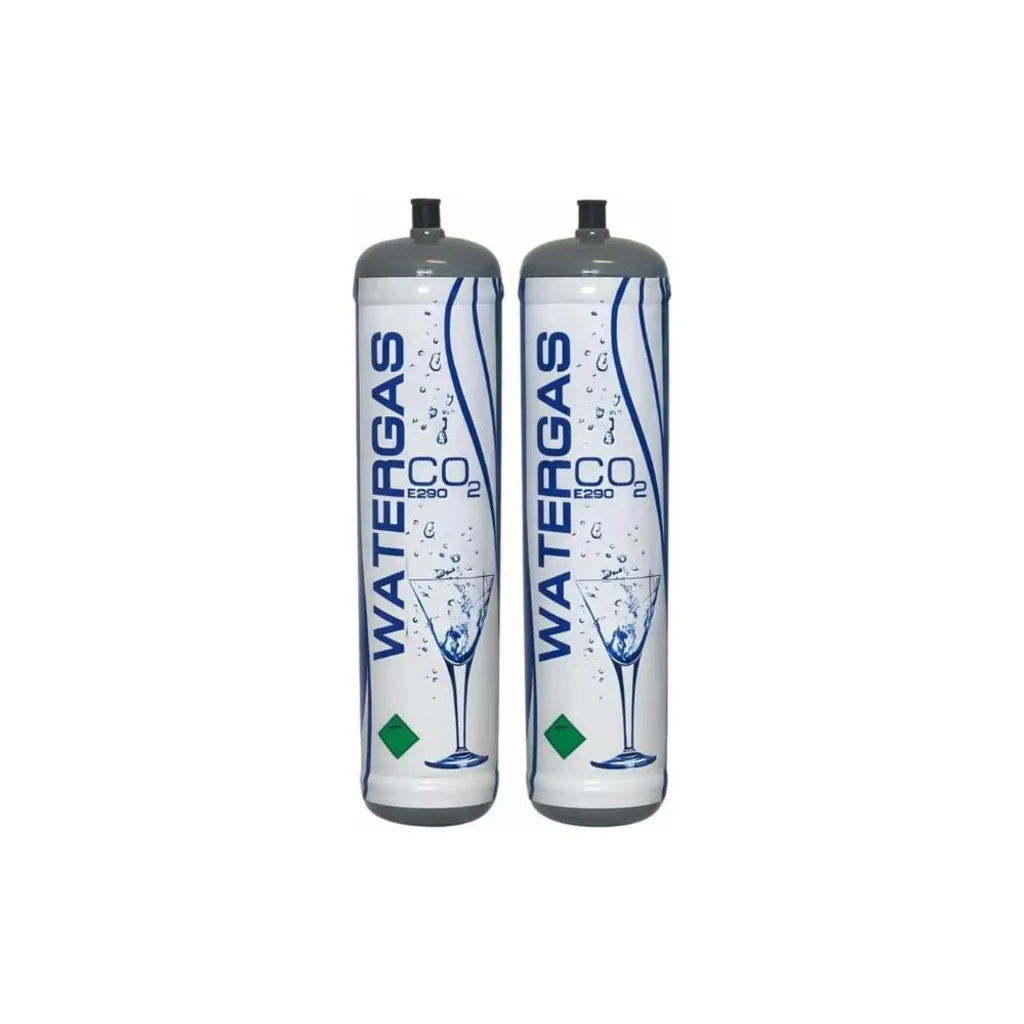 Pack de 2 Bouteilles CO2 600g avec Filetage M11x1 - Gaz E290 Premium