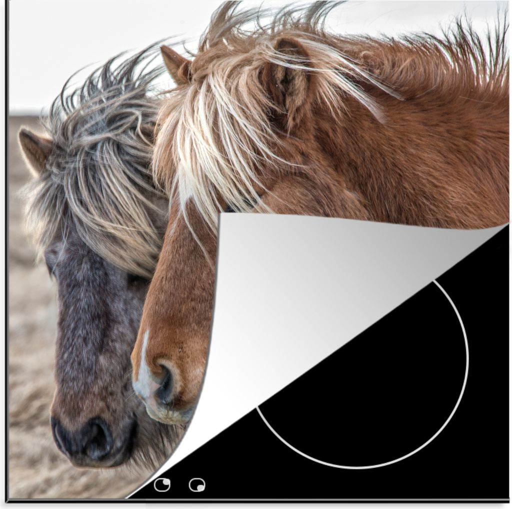 KitchenYeah Herdabdeckplatte Pferde - Natur - Makro , 78x78cm, Küche Deko, Glaskeramikfeld Herdabdeckung, Abdeckplatte fùr Kochfeld