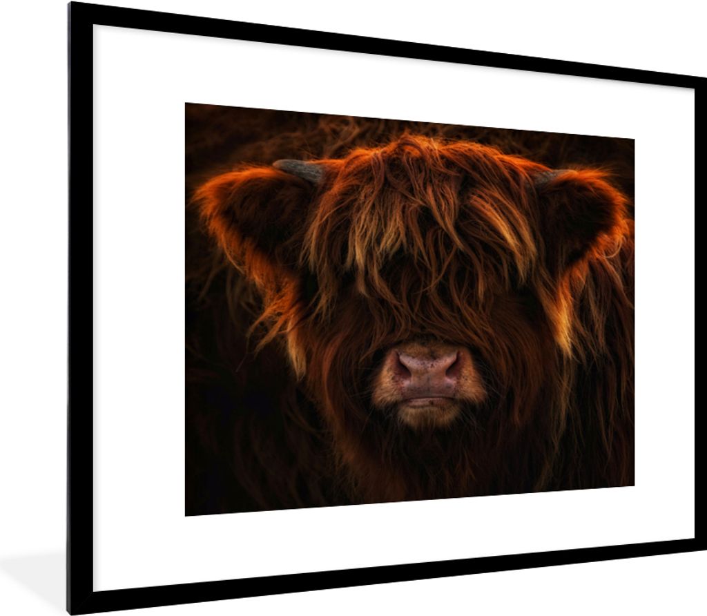 MuchoWow Gerahmtes Poster Schottischer Highlander - Leicht - Tier 80x60 cm - Poster mit Schwarzem Bilderrahmen Wandposter Rahmen Foto Bilder - Sc...