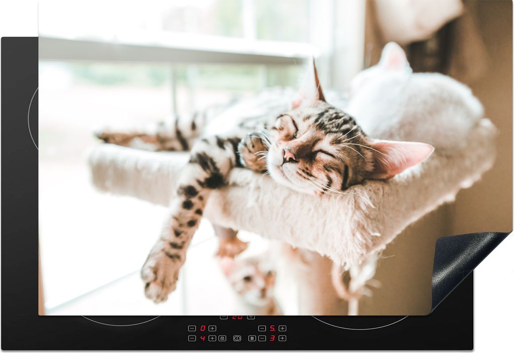 KitchenYeah Herdabdeckplatte Schlafende Katzen auf einem Kratzbaum , 78x52cm, Küche Deko, Glaskeramikkochfeld Herdabdeckung, Abdeckplatte fùr K...