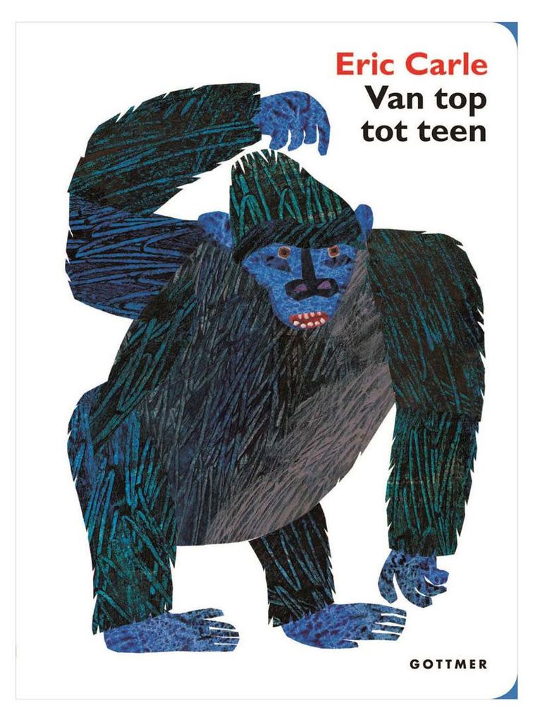 Das Pappbuch der Gottmer-Verlagsgruppe von oben nach unten